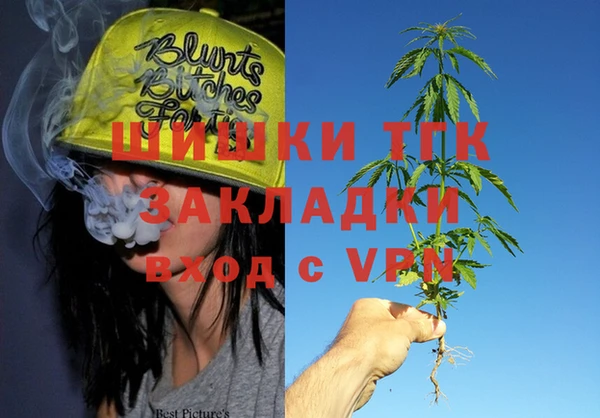 сатива Алексеевка