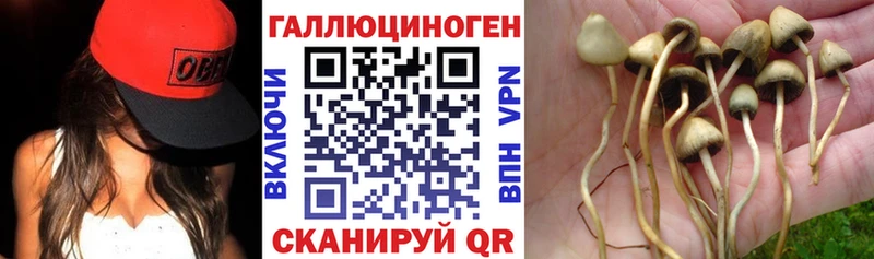 Галлюциногенные грибы ЛСД  дарнет шоп  hydra ТОР  Нижнеудинск 