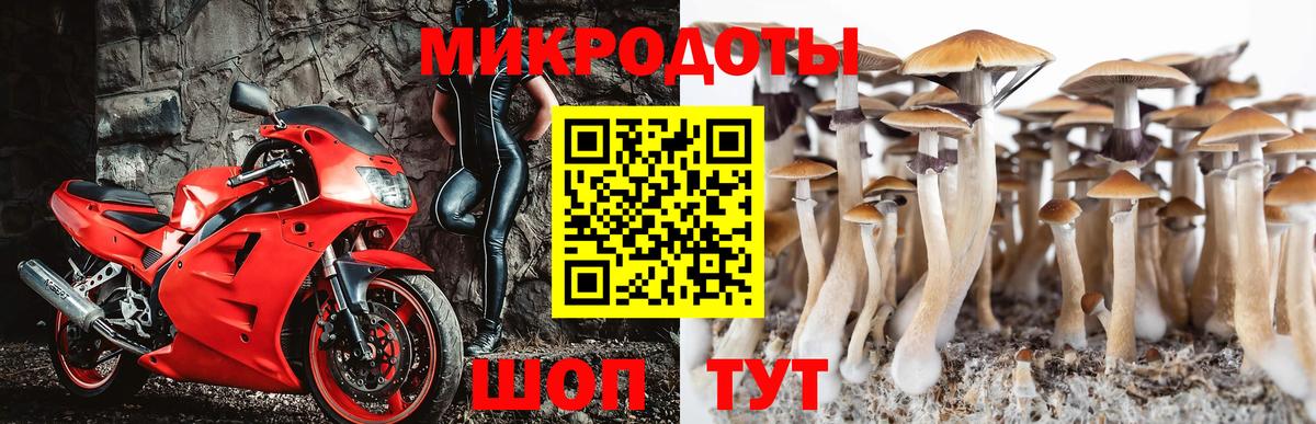 Нижнеудинск  Псилоцибиновые грибы Cubensis  хочу наркоту  Вход с VPN 