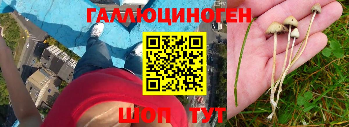 Галлюциногенные грибы мицелий Нижнеудинск